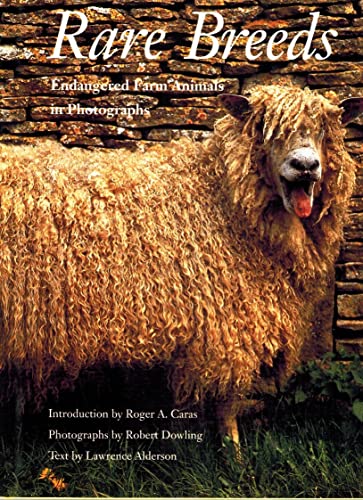 Rare breeds ;; photographs by Robert Dowling ; text by Lawrence Alderson ; introduction by Roger ...