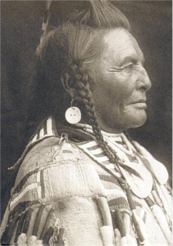 Imagen de archivo de Native Nations:Chiefs/Warriors (North American Indian) a la venta por WorldofBooks