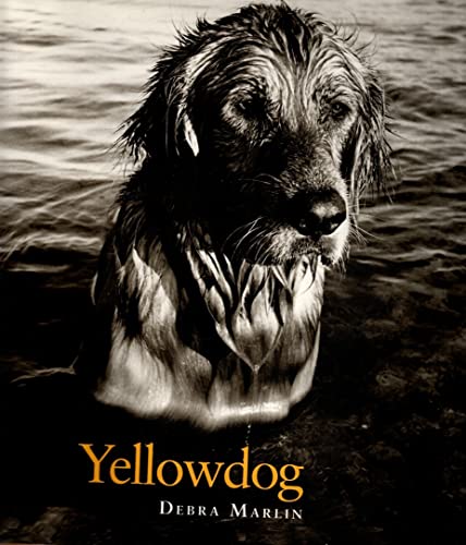 Stock image for Yellowdog for sale by SecondSale