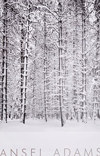 Stock image for Pine Forest in Snow, Yosemite National Park, California, 1932 for sale by Grand Eagle Retail