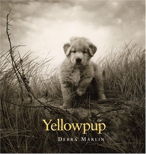 Stock image for Yellowpup for sale by More Than Words