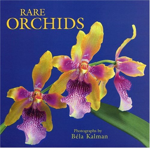 Stock image for Rare Orchids for sale by Books of the Smoky Mountains