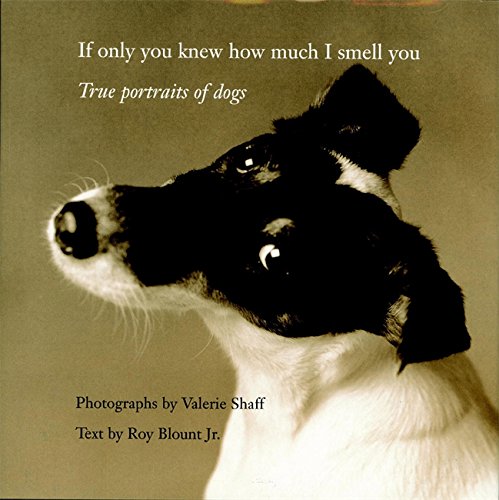 Beispielbild fr If Only You Knew How Much I Smell You: True Portraits of Dogs zum Verkauf von Orion Tech