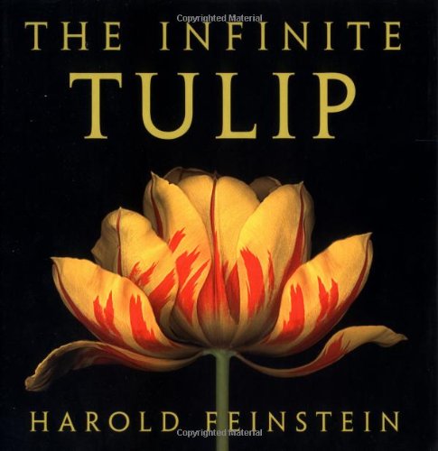 Beispielbild fr The Infinite Tulip zum Verkauf von Ergodebooks