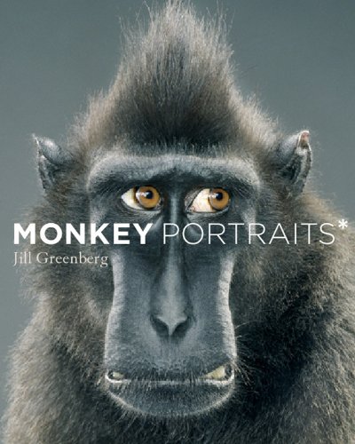 Stock image for Monkey Portraits for sale by Jenson Books Inc