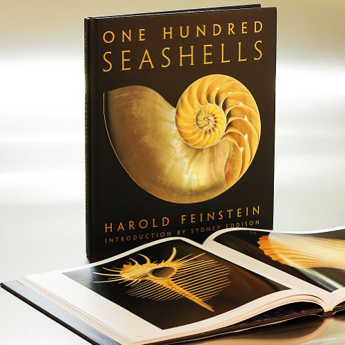 One Hundred Seashells (9780821262061) by Feinstein, Harold