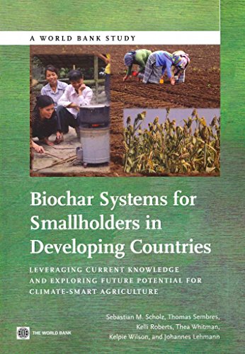 Imagen de archivo de Biochar Systems for Smallholders in Developing Countries: Leveraging Current Knowledge and Exploring Future Potential for Climate-Smart Agriculture (World Bank Studies) a la venta por Lucky's Textbooks