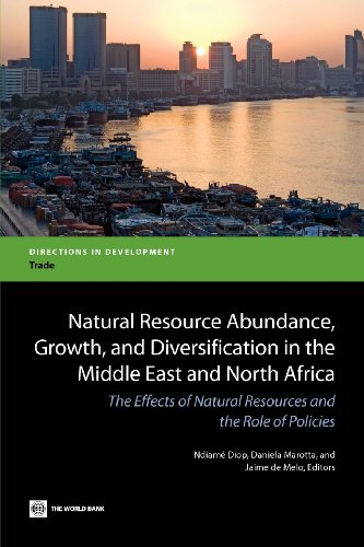 Stock image for Natural Resource Abundance, Growth, and Diversification in the Middle East and North Africa: The Effects of Natural Resources and the Role of Policies (Directions in Development) for sale by Books From California