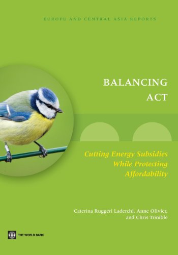 Beispielbild fr Balancing Act: Cutting Energy Subsidies while Protecting Affordability (Eastern Europe and Central Asia Reports) zum Verkauf von Chiron Media