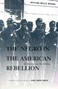 Stock image for The Negro in the American Rebellion: His Heroism and His Fidelity for sale by Queen City Books