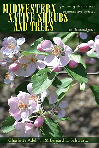 Beispielbild fr Midwestern Native Shrubs and Trees : Gardening Alternatives to Nonnative Species: an Illustrated Guide zum Verkauf von Better World Books