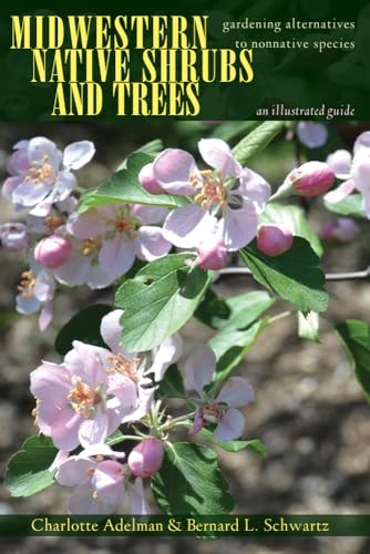 Stock image for Midwestern Native Shrubs and Trees : Gardening Alternatives to Nonnative Species: an Illustrated Guide for sale by Better World Books