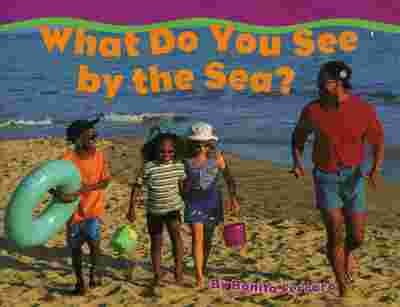 What do you see by the sea? (Sadlier little books reading) (9780821507322) by Ferraro, Bonita