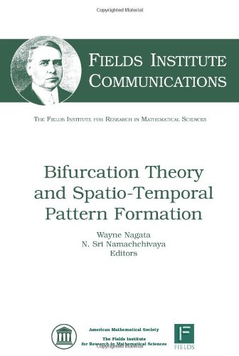 Stock image for Bifurcation Theory and Spatio-Temporal Pattern Formation (Fields Institute Communications) for sale by dsmbooks