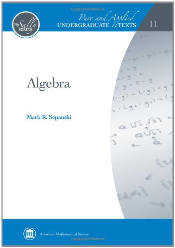 Imagen de archivo de Algebra (Pure and Applied Undergraduate Texts) a la venta por HPB-Red