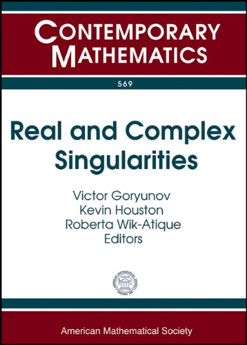 Stock image for Real and Complex Singularities: XI International Workshop on Real and Complex Singularities, July 26-30, 2010, Instituto de Ciencias Matematicas E de for sale by ThriftBooks-Atlanta