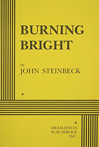 9780822215981: Burning Bright: A Play in Story Form