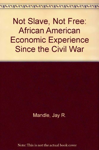 Imagen de archivo de Not slave, not free: The African American economic experience since the Civil War a la venta por Midtown Scholar Bookstore