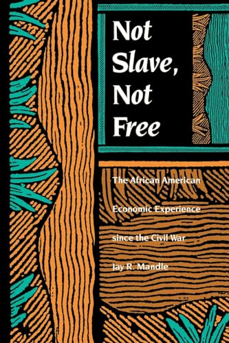 Imagen de archivo de Not Slave, Not Free: The African American Economic Experience Since the Civil War a la venta por WorldofBooks