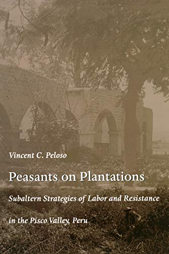 Stock image for Peasants on Plantations: Subaltern Strategies of Labor and Resistance in the Pisco Valley, Peru (Latin America Otherwise) for sale by Wonder Book