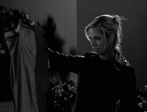 Imagen de archivo de Undead TV: Essays on Buffy the Vampire Slayer a la venta por Midtown Scholar Bookstore