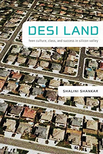 Stock image for Desi Land : Teen Culture, Class, and Success in Silicon Valley for sale by Better World Books