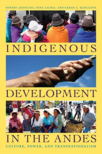 Stock image for Indigenous Development in the Andes: Culture, Power, and Transnationalism for sale by Midtown Scholar Bookstore