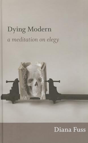 Imagen de archivo de Dying Modern: A Meditation on Elegy a la venta por Midtown Scholar Bookstore