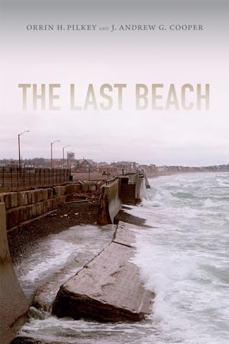 Stock image for The Last Beach for sale by ThriftBooks-Dallas