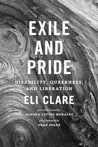 Stock image for Exile and Pride: Disability, Queerness, and Liberation for sale by HPB-Red