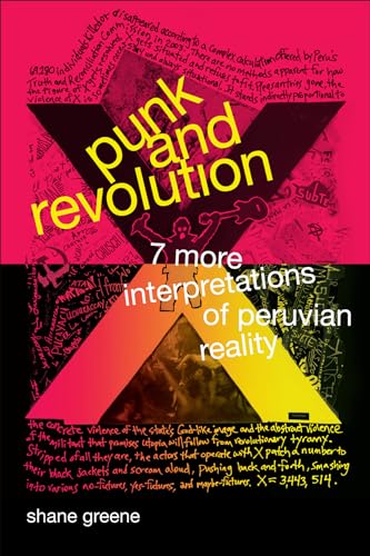 Imagen de archivo de Punk and Revolution: Seven More Interpretations of Peruvian Reality a la venta por bibliomancy