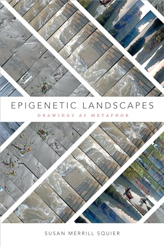 Beispielbild fr Epigenetic Landscapes: Drawings as Metaphor zum Verkauf von Books From California