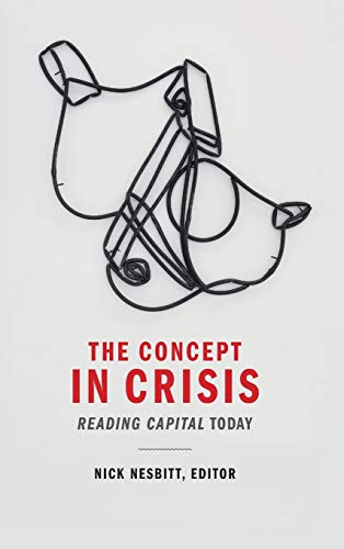 9780822369622: The Concept in Crisis: Reading Capital Today