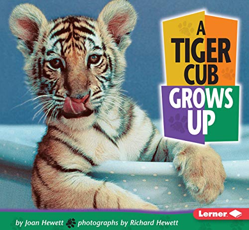 Stock image for A Tiger Cub Grows Up (Baby Animals (Learner Classroom)) for sale by Gulf Coast Books