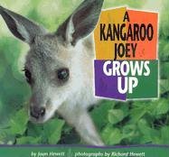 9780822500919: A Kangaroo Joey Grows Up (Baby Animals)