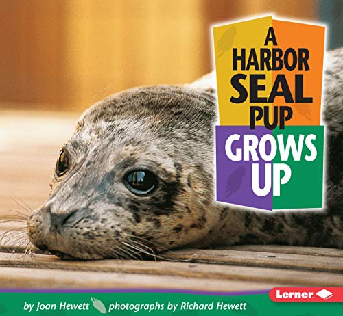 Beispielbild fr A Harbor Seal Pup Grows Up zum Verkauf von Better World Books