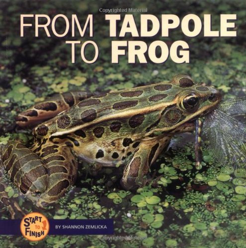 Imagen de archivo de From Tadpole to Frog (Start to Finish (Lerner Hardcover)) a la venta por More Than Words