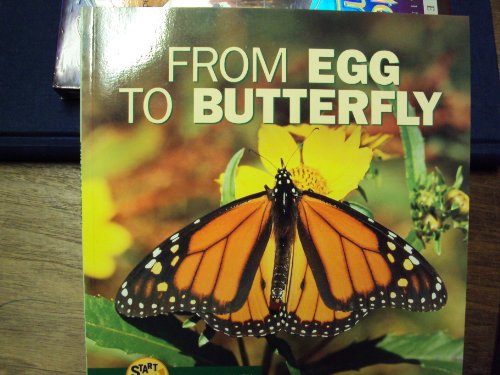 Beispielbild fr From Egg to Butterfly zum Verkauf von Better World Books