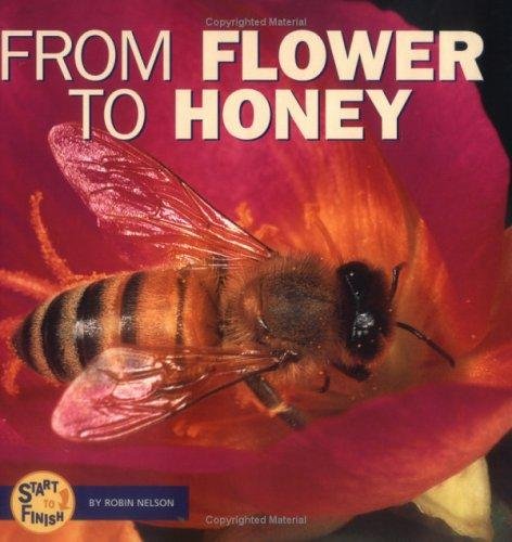 Stock image for From Flower to Honey (Start to Finish) for sale by Wonder Book