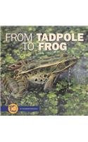 Beispielbild fr From Tadpole to Frog (Start to Finish) zum Verkauf von More Than Words