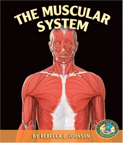 Imagen de archivo de The Muscular System (Early Bird Body Systems) a la venta por More Than Words