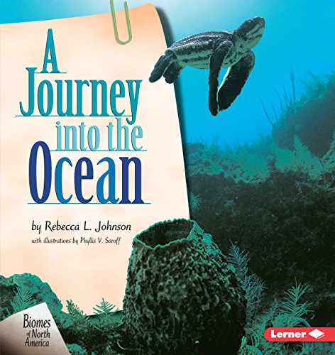 Imagen de archivo de A Journey into the Ocean (Biomes of North America) a la venta por Goodwill of Colorado