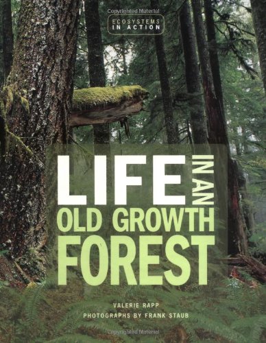 Stock image for Life in an Old Growth Forest : The Forests of the Pacific Northwest for sale by Better World Books