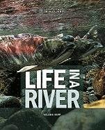 Stock image for Life in a River : The Columbia River Basin for sale by Better World Books