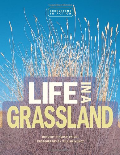 Imagen de archivo de Life in a Grassland a la venta por Better World Books: West
