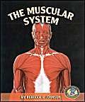 Stock image for The Muscular System (Early Bird Body Systems) for sale by Once Upon A Time Books