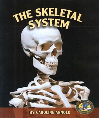 Beispielbild fr Skeletal System zum Verkauf von Better World Books