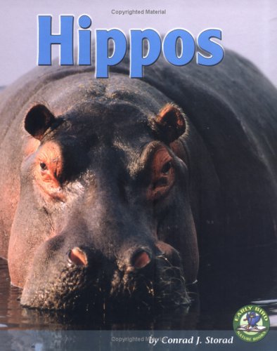 Stock image for Hippos for sale by Better World Books