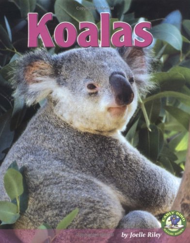 Beispielbild fr Koalas zum Verkauf von Better World Books