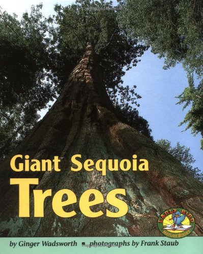 Imagen de archivo de Giant Sequoia Trees (Early Bird Nature Books) a la venta por SecondSale
